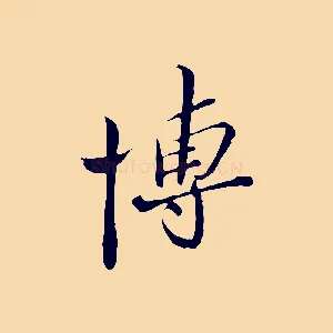 博