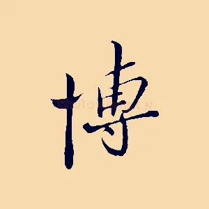 博