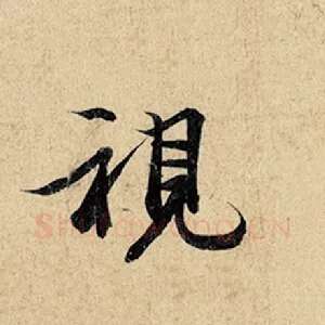 视