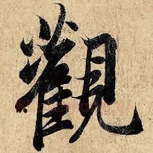 观