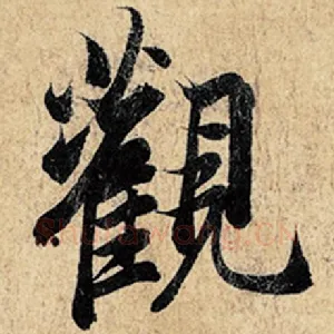 观
