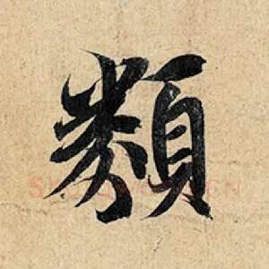 类