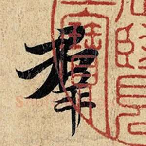 群