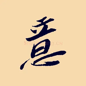 意