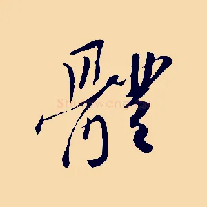體