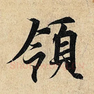 领