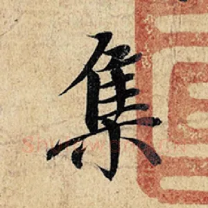 集