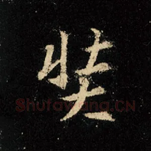 奘