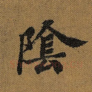 阴