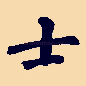 士
