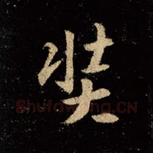奘