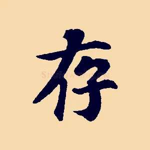 存