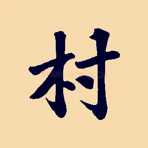 村