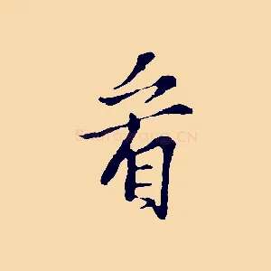 看
