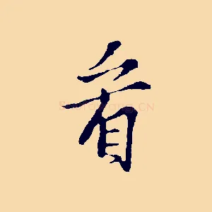 看