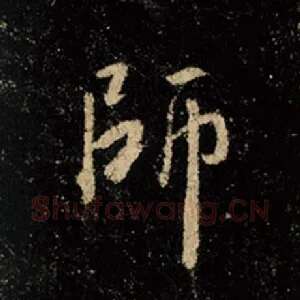 师