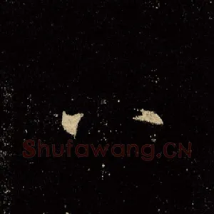 八