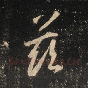 兹