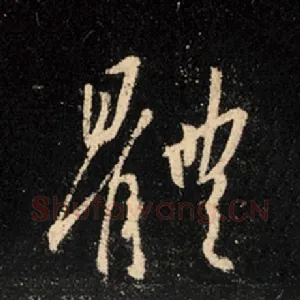 体