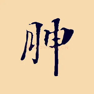 腴