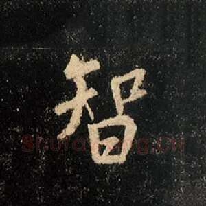 智