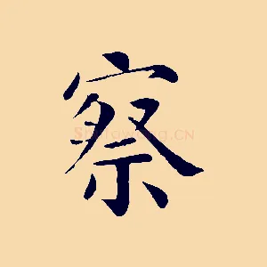 察