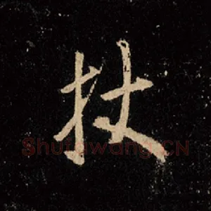 杖