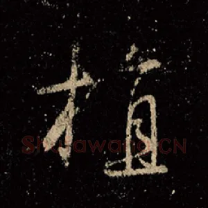 植