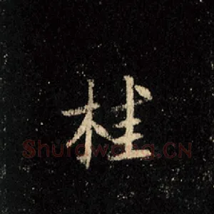 桂