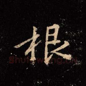 根
