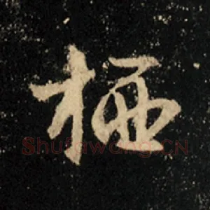 栖