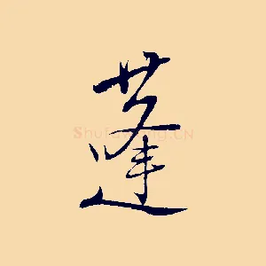 蓬