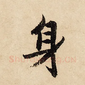 身