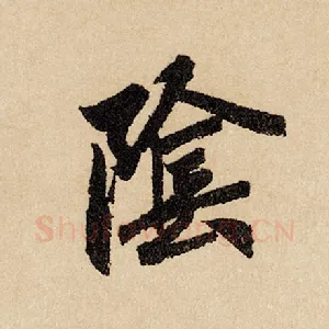 阴