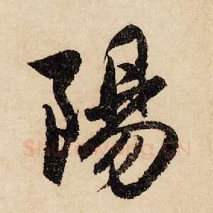 阳