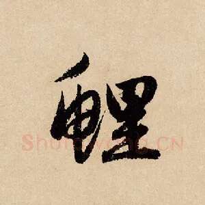鲤