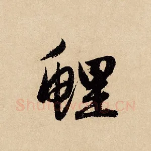 鲤