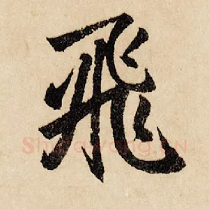 飞