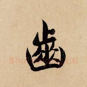 齿