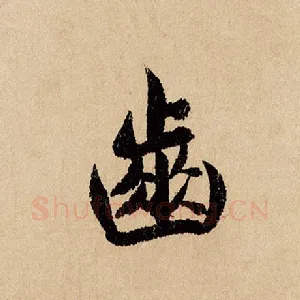 齿