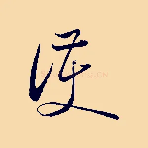 護
