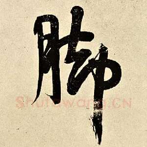 脚