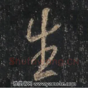 生