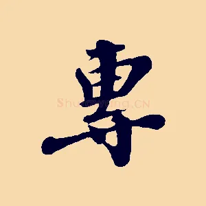 專
