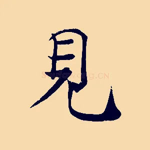 見