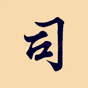 司