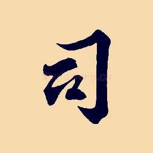 司