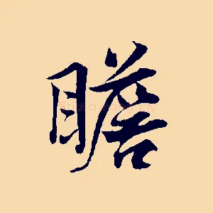 瞻