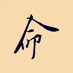 命