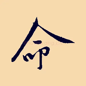 命